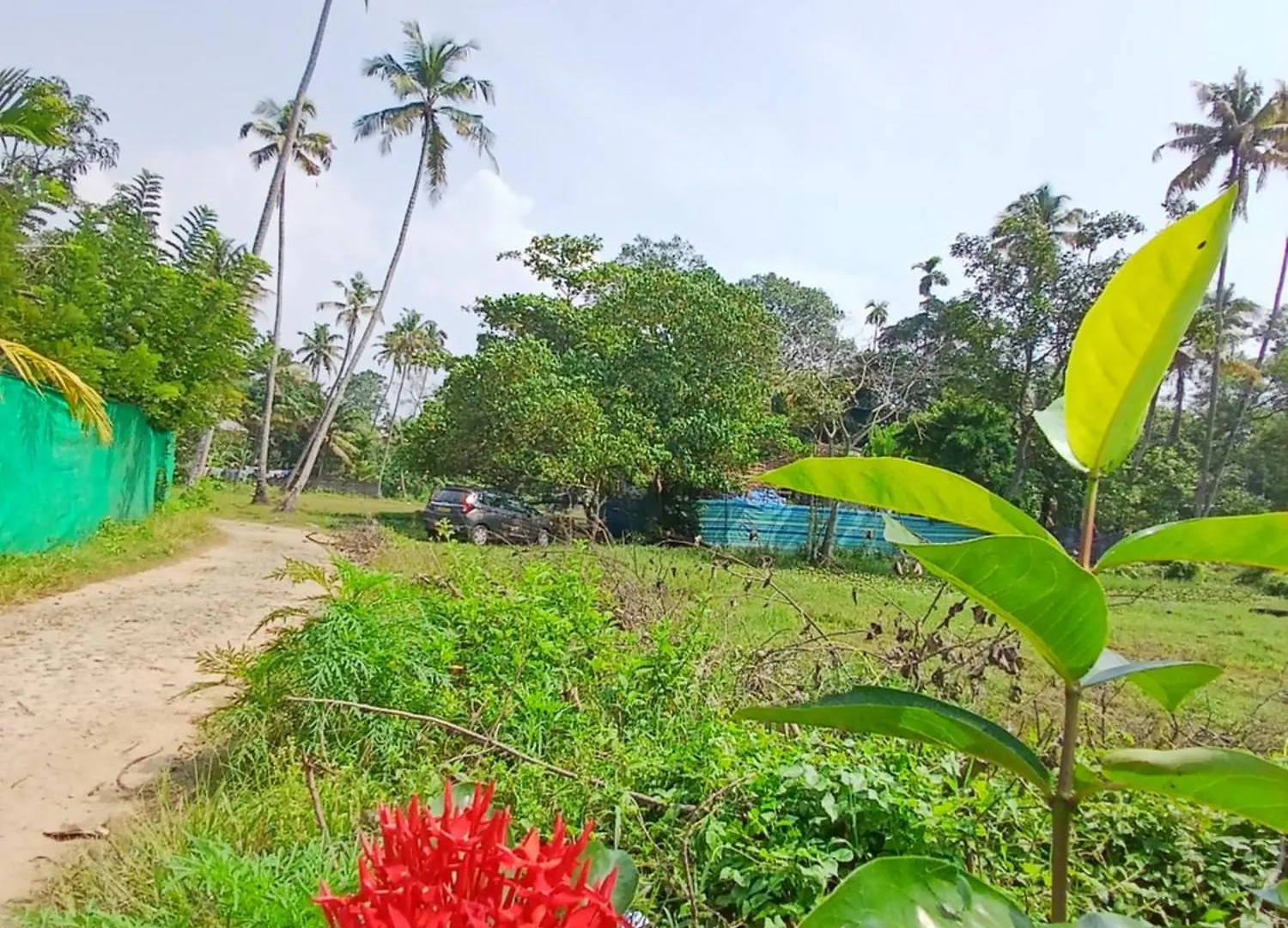 Homestay Marari Beach Way Inn Alappuzha